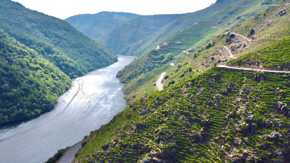 Ribeira Sacra Salón Gourmets