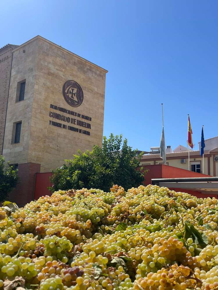 Ruta del Vino Condado Huelva