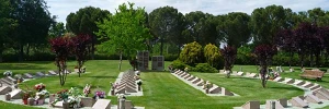 Concurso de Cementerios. Cementerio Jardín. Alcalá de HenaresConcurso de Cementerios
