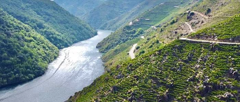 Ribeira Sacra Salón Gourmets