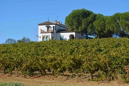 Enoturismo, Viñedos de Huelva