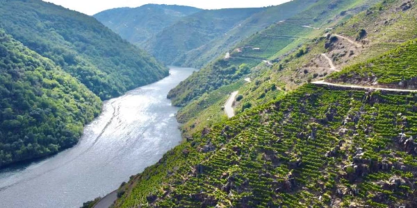 Ribeira Sacra Salón Gourmets