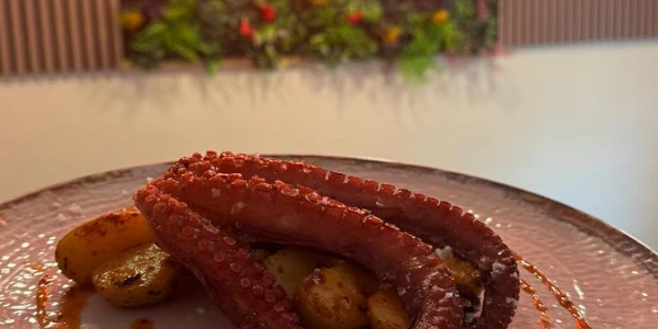 Henule Pulpo