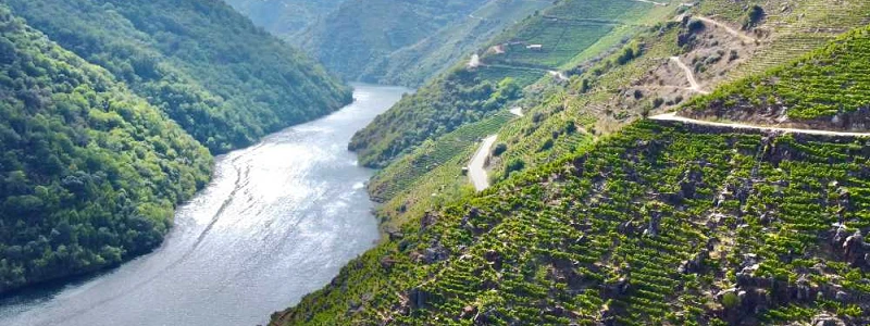 Ribeira Sacra Salón Gourmets